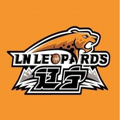 审核, 总比分, 阳辽宁体育